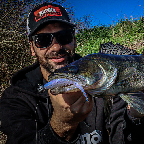 Rapala crushcity freeloader - rapala,