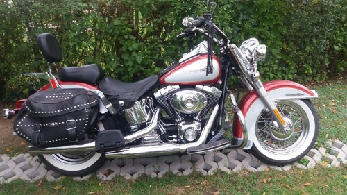Harley davidson softail flstci - harley,
