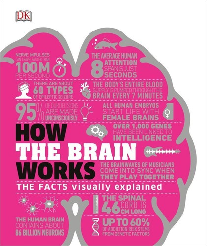 How the brain - brain, buch