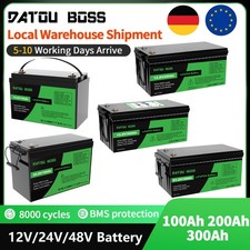 LiFePO4 Akku 12V/24V/48V 100Ah 200Ah 300Ah Lithium Batterie BMS für RV Solar
