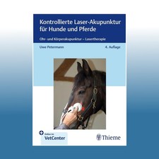 Kontrollierte Laser-Akupunktur