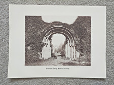 Lilleshall Abbey, Western Doorway, Shropshire - antiker Druck - 1877