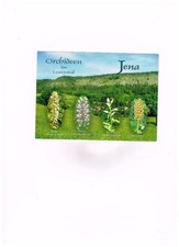 ANSICHTSKARTE- FOTOKARTE- JENA 11