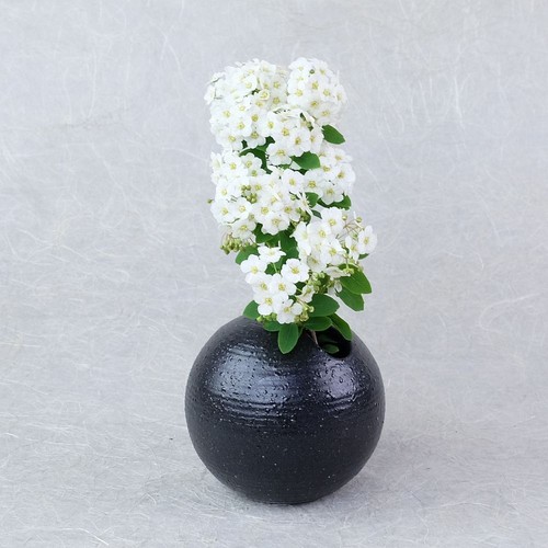 Kleine runde vase schwarz 8 - vase,