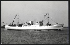 Fotografie Norwegisches