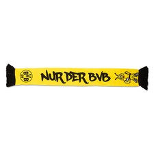 Borussia dortmund bvb - dortmund,