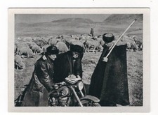 34/61 SAMMELBILD DDR 1955  - EINE REISE DURCH DIE SOWJETUNION - SCHAFE MOTORRAD