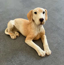 Castagna Collection - Labrador