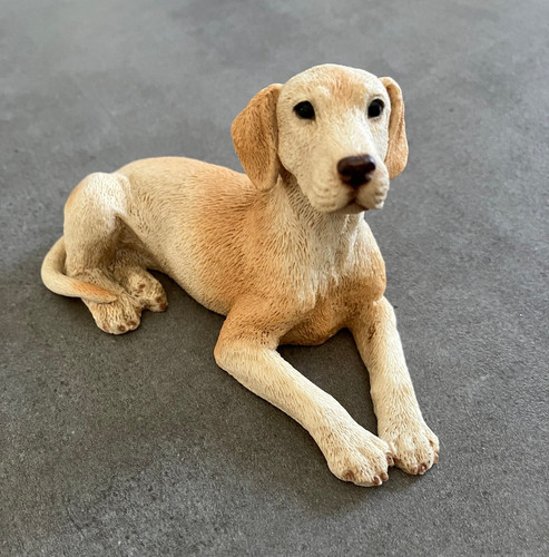 Castagna collection labrador - castagna,