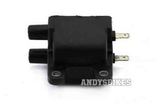 12v CDI Doppel Ausgang