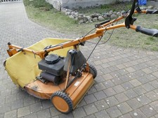 AS Rasenmäher mit Fangschutz