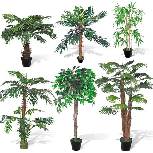 Cycaspalme kunstpalme - cycaspalme,
