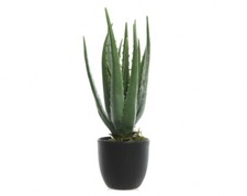 Aloe Vera 35cm Kunstpflanze im