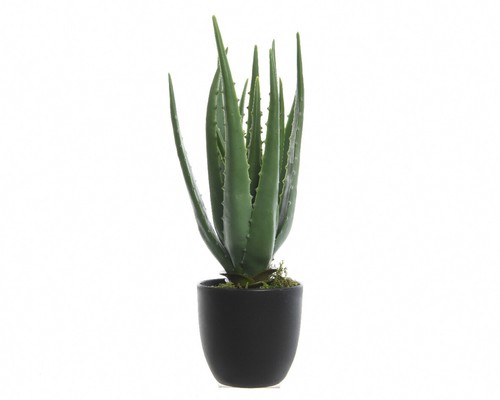 Aloe vera 35cm kunstpflanze - aloe,