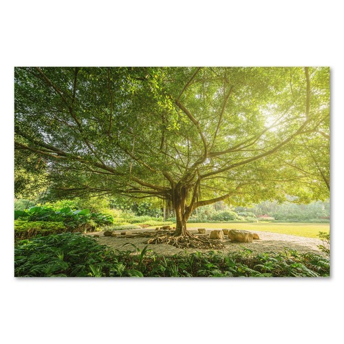 Postereck 3910 poster leinwand - postereck,