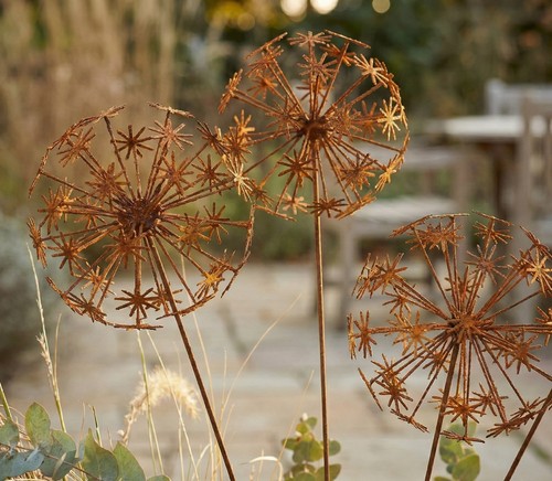 Edelrost pusteblumen rostig - edelrost,