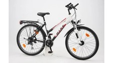 Rixe Outback Bike 