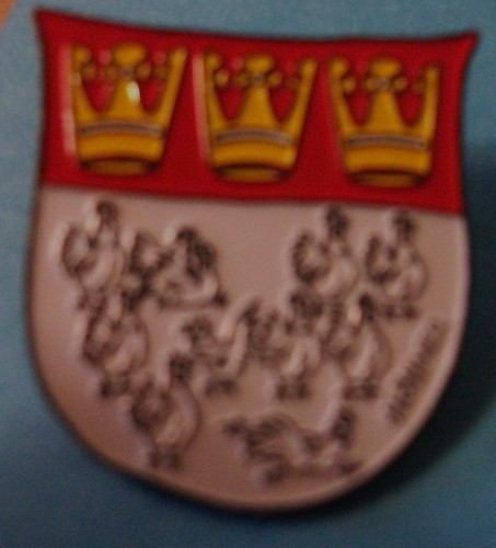Pin fasching karneval - pin.,