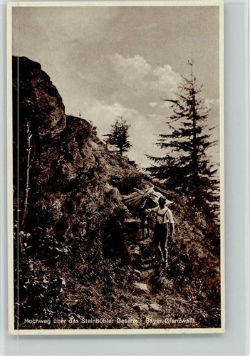 12039063 hochweg ueber das - 12039063,