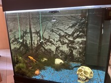 Aquarium - , (juwel)