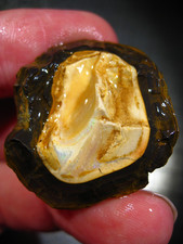Cts australien roh koroit - australien,