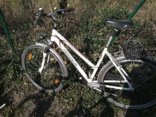 Damenrad pegasus avanti - damenrad,