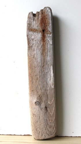 Treibholz schwemmholz - treibholz,