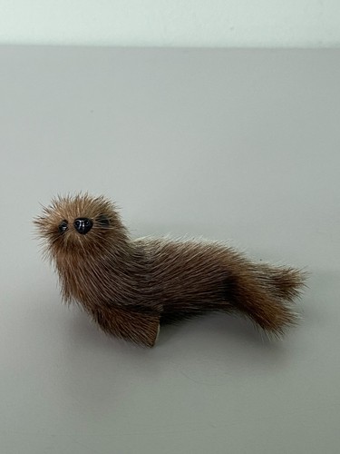 Seehund seerobbe seelöwe - seerobbe, cm