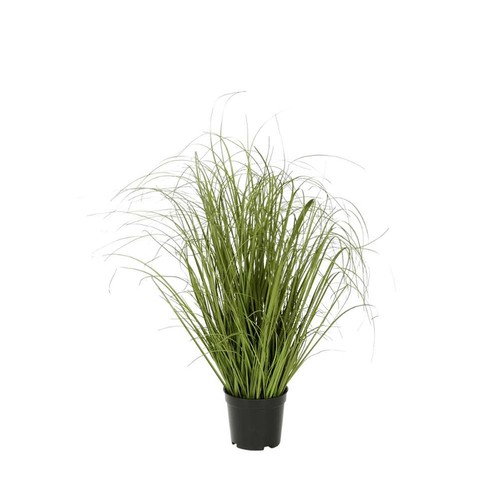 Kunstpflanze gras aus - kunstpflanze,