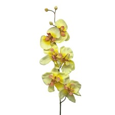 Kunstblume, ORCHIDEENZWEIG