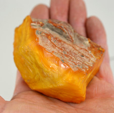 KAPITALER ROHBERNSTEIN