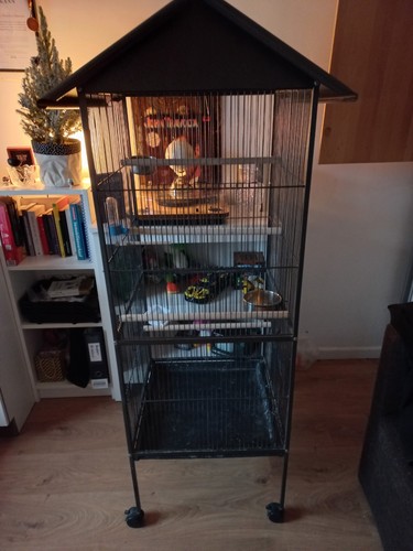 Großer vogelkäfig auf - vogelkäfig, rollen