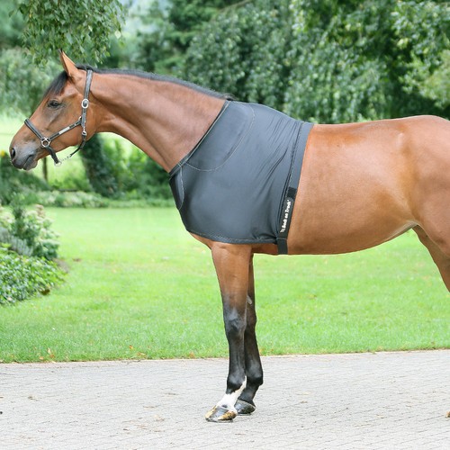 Back track shoulderguard - back,