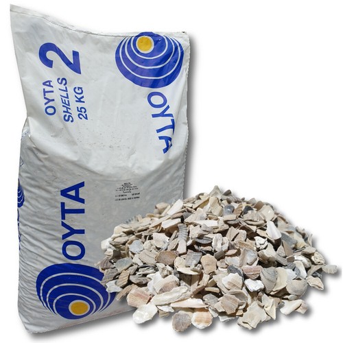 Oyta austernschalenmix kg - 25,