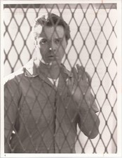 PF Blind Faith ( Robert Urich