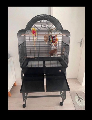 Großer vogelkäfig mit - großer,