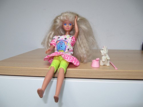 Barbie cool teen - barbie, sister