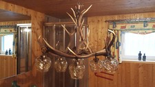 Geweihleuchter aus Rothirschabwurfstangen mit 6 Lampen