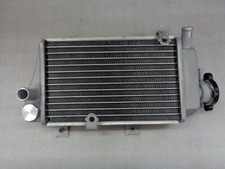 Kühler rechts AsiaWing 250