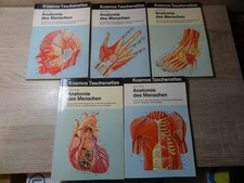 Milan Klima: Anatomie des