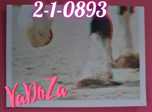 Unsere erde shire horse - horse, 3/3