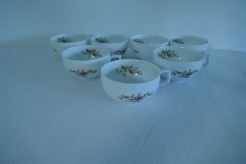 Rosenthal sanssouci moosrose - sanssouci,