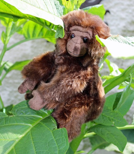 Förster gorilla affe - gorilla, cm