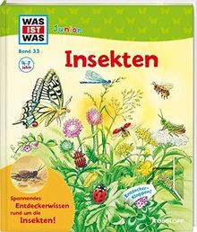 Was ist junior - junior, band