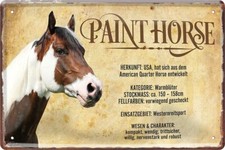 Blechschild 20x30 Paint Horse