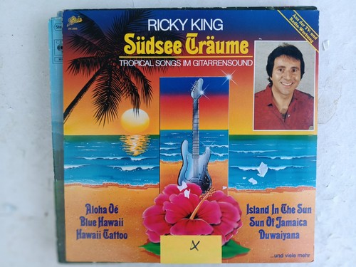Schallplatte vinyl ricky - schallplatte,