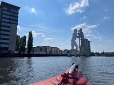 TOHATSU MFS50 Außenborder +