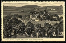 Eibenstock, Blick nach dem Doenitzgrund, Ansichtskarte 