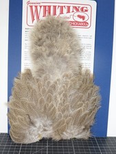 Whiting Brahma Hen Softhackle