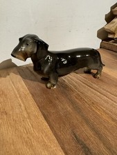 Rauhaardackel Wagner & Apel